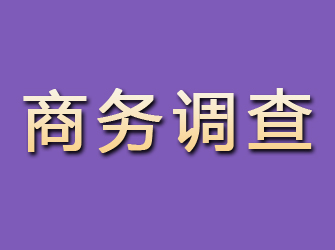 鹤峰商务调查